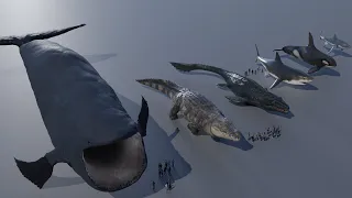 Sea Monsters Size Comparison | 3d Animation