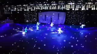 Светодиодные костюмы DanceLight. Театр на льду ALEKO