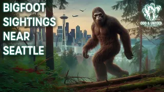 Bigfoot Sightings Near Seattle