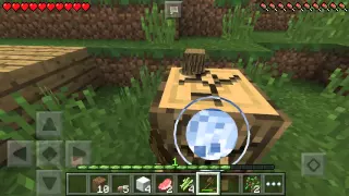 Lp #1 ~ MineCraft