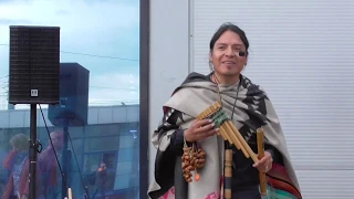 Corazon Equibocado. Индеец из Эквадора Inty «Pakarina».