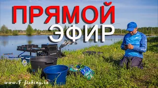 РЫБАЛКА на фидер💥ПРЯМОЙ ЭФИР!#5 Ответы на ваши вопросы. 2-я часть. Рыбалка 2021