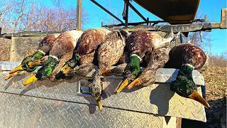 Mississippi River Duck Hunting ~ 3 Man Limit {Catch, Clean, Cook}