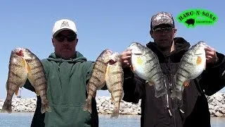 How To Catch BIGGEST Lake Michigan Perch Fishing Fish Instruction Video Demonstration