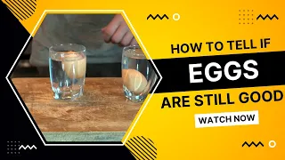 How to Tell if Eggs are Still Good