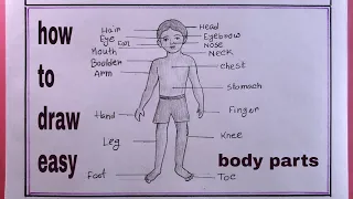how to draw human body parts step by step/human body parts drawing