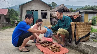 Long - New life: Going to the forest to dig up forest flukes to sell. Daily life of a young man