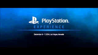 Playstation Experience 2014 gut reactions
