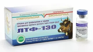 (ЛТФ-130) vaksinasini qo'llash bo'yicha yo'riqnoma. #ЛТФ-130 #temiratki #vetdoctor