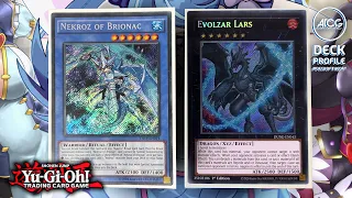 Yu-Gi-Oh! Insane NEKROZ Deck - Strategies Post DUELIST NEXUS (August 2023)