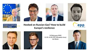 Friends of European Russia webinar: Hooked on Russian Gas? How to build Europe’s resilience
