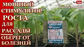 ЯНТАРНАЯ КИСЛОТА ДЛЯ  ПОДКОРМКА  РАССАДЫ.СТИМУЛЯТОР РОСТА, ОБИЛЬНОЕ ЦВЕТЕНИЕ,ОГРОМНЫЙ УРОЖАЙ