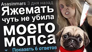 ЯЖЕМАТЬ ЧУТЬ НЕ УБИЛА МОЕГО МОПСА. ЯЖЕМАТЬ ИСТОРИИ.