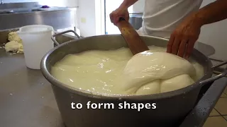 Making Mozzarella and Burrata by Hand in Italy