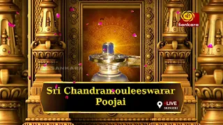 Sri Chandramouleswara Pooja Live from Sringeri #sringeri #pooja #srisankaratv