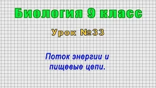 Биология 9 класс (Урок№33 - Поток энергии и пищевые цепи.)