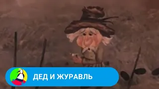 РУССКАЯ НАРОДНАЯ СКАЗКА! Дед и журавль. Мультфильм в HD. STARMEDIAKIDS