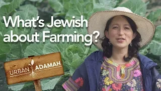 What's Jewish About Farming? A Tour of Urban Adamah