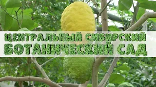 БОТАНИЧЕСКИЙ САД | экскурсия | Телеканал ОТС