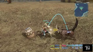 Final Fantasy XII - Trick to make max exp lvl 99 in 3 min