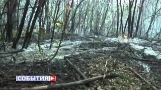 В Самарской области произошло шесть лестных пожаров