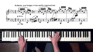 Brahms Intermezzo Op.117 No 2, P. Barton FEURICH piano