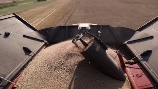 Case-IH  Axial-Flow 250-maaidorser 2019 AFS Harvest Command™-automatisering Trekkerweb