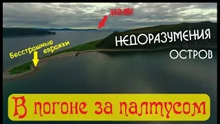 Недоразумение и палтус