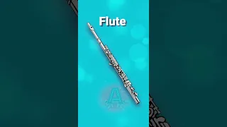 Flute English Vocabulary Musical Instruments #shorts