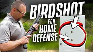 Is Using Birdshot For Home Defense Effective? (Shotgun For Home Defense)