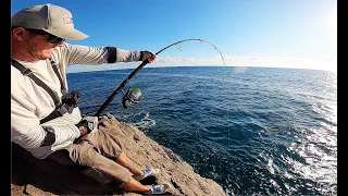 Monster Grouper off the rocks!