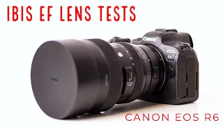 Canon EOS R6 IBIS Test - How does it perform on EF lenses?