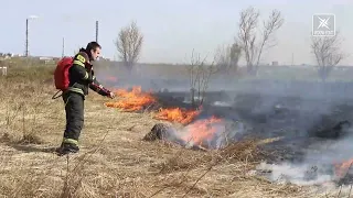 Неконтролируемый пал сухой травы может привести к печальным последствиям, напоминают пожарные