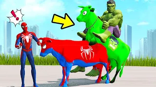 HOMEM ARANHA & SPIDERMAN COW VS HULK & HULK COW NA PONTE DOS MINIONS NO GTA 5!