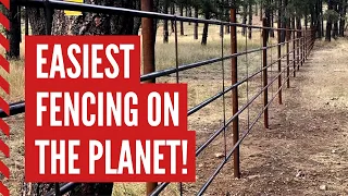Easiest Horse And Livestock Fencing On The Planet! - Continuous Fence Panels