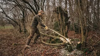 Bushcraft Skills: 1000 Year Old Traditional Technique | Hedge Laying | Axe, Saw, Billhook