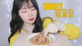 『ASMR』통벌꿀집 먹방 잇팅사운드/Honeycomb eating sound