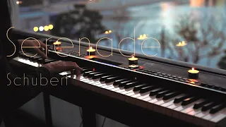 🎼[Emotional 🎹] "Schubert - Serenade" performed on piano by Vikakim.