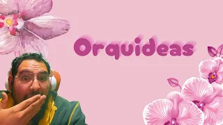 Las orquídeas Catacédum #aprendeencasa #conocimiento #curiosidades