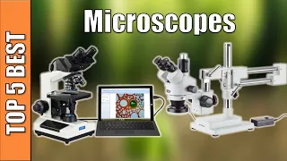 Microscopes : Top 5 Best Microscopes Reviews 2020