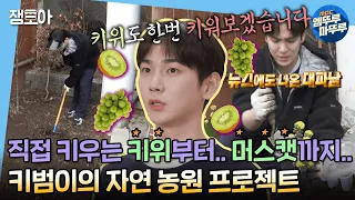 [나 혼자 산다] 없는게 없는 만능열쇠 키의 마당밭🥦🌱명이나물, 키위, 샤인머스캣, 로메인 등등.. 키우기 도전💪 | #키 MBC220429방송