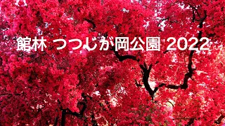 館林 つつじが岡公園 2022