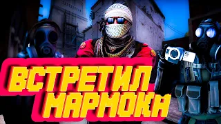 CS GO | СМЕШНЫЕ МОМЕНТЫ | ВСТРЕТИЛ МАРМОКА