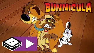 Bunnicula | Shape Shifter | Boomerang UK 🇬🇧