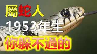 十二生肖（1953年出生的屬蛇人，已過生日今年周歲為71歲，未過生日周歲為70歲，1953年屬蛇人來說，金錢運勢能夠持續上揚。可得到一定的金錢利潤，1953年屬蛇人在金錢上，保本是最為重要的）阿南德