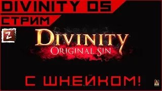 Divinity original sin - кооп с Шнейком. Vol. 2!