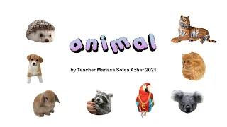 UNIT 4: Pulse 2 (Animals)