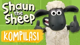 Full Episodes Compilation 13-16 | Shaun the Sheep Season 5