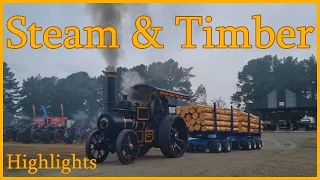 Steam & Timber - Highlights