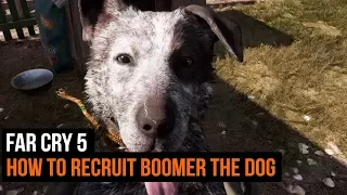 Far Cry 5 - How To Recruit Boomer The Dog